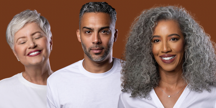 Silver Slay Products – ecoslay